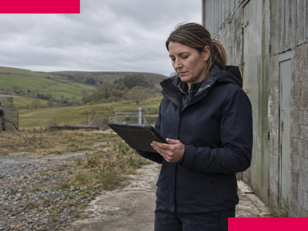 Why offline working is essential for frontline investigators